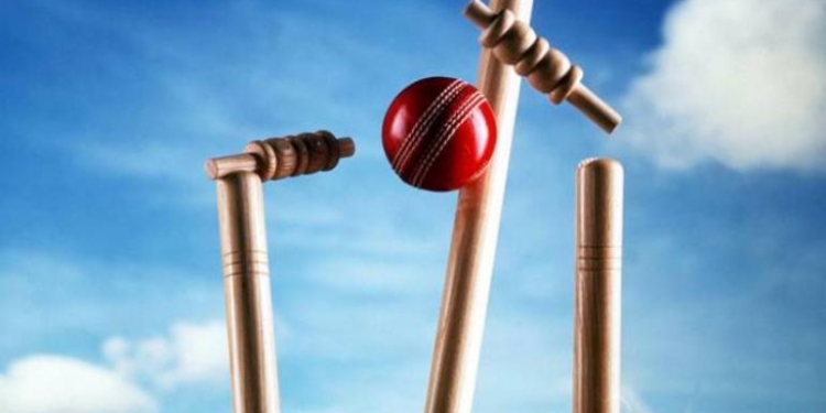cricket