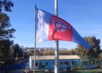 12047156 971619696243951 8246098389436311003 n