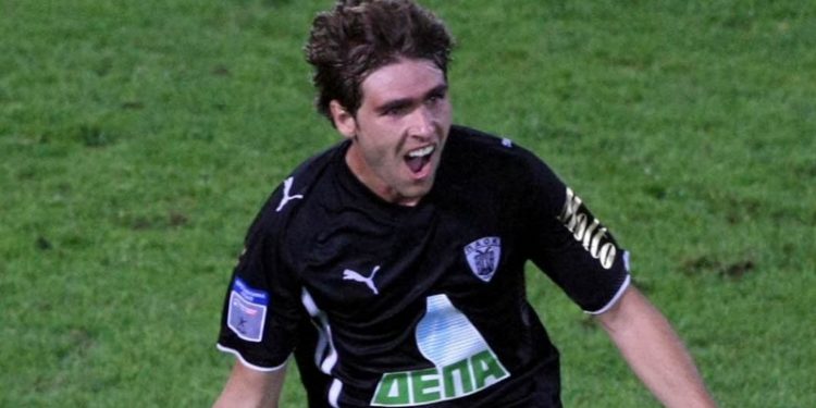 pegasus LARGE t 1041 12668445