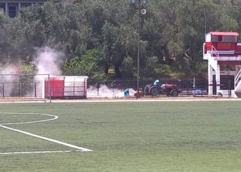 14102152 1073100839432933 7868512672997044483 n