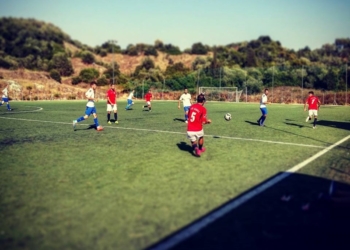 14117688 1752000345088264 8770347660972736847 n