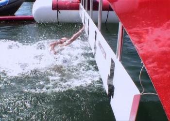 pegasus LARGE t 1301 106993408 type12905