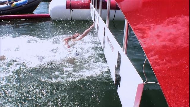 pegasus LARGE t 1301 106993408 type12905