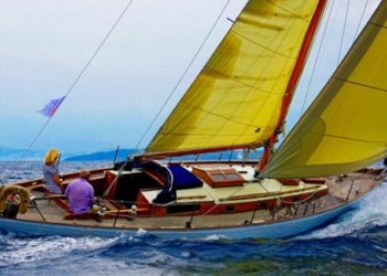 newego LARGE t 1101 54797224 type13145