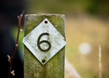 md stock photo 10928510 no 6