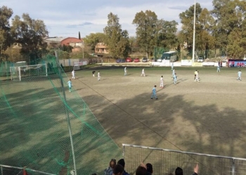 17201209 1445520808791967 733853528866892826 n