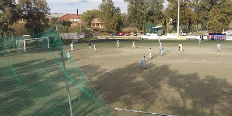 17201209 1445520808791967 733853528866892826 n