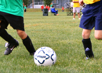 ellow green players2