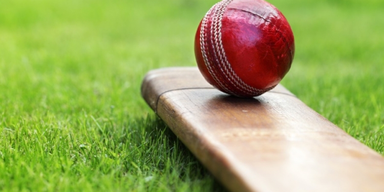 cricket ball bat