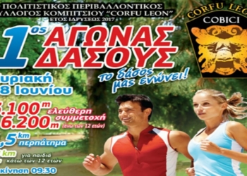 191 0001 1793067907 n