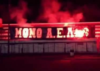 20799505 1427229270686753 6622559792146102453 n