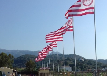 21200489 1438744506241101 6495757301398630087 o