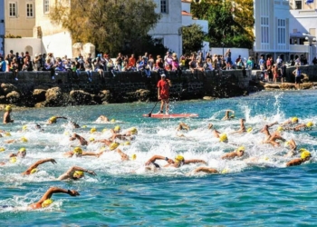 22052485 1634618989946753 1440308096 n