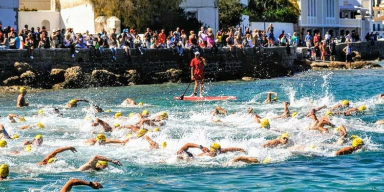 22052485 1634618989946753 1440308096 n