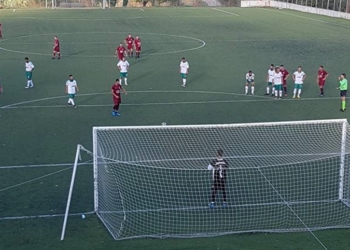 22279835 554180931583173 6816459693663052082 n