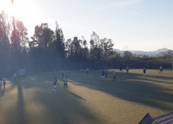 22555514 1963525460602417 8454107734809422509 o