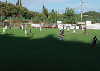 22713479 1565508006828813 6175773129542733910 o