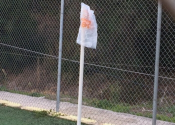 23360972 678431565695555 728860239 n