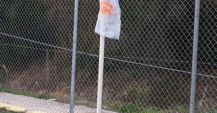 23360972 678431565695555 728860239 n