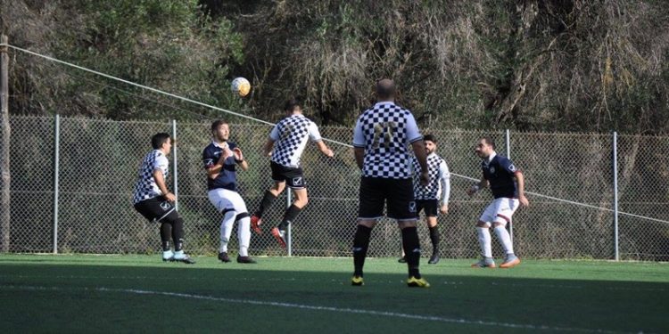 25311085 1633939996664300 6016378829681160837 o