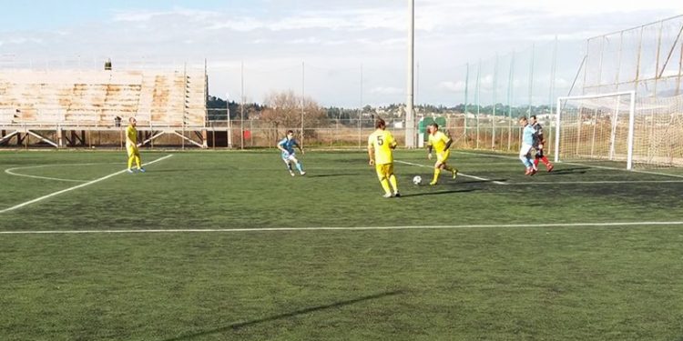 25532013 10214829791442376 2576354477490254255 o