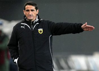 pegasus LARGE t 1301 107378038