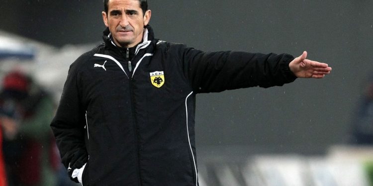 pegasus LARGE t 1301 107378038