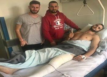 28795877 1628855300524148 8530721382362414188 n