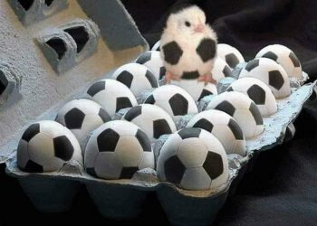 29541311 1638897229559160 4216019679749344734 n