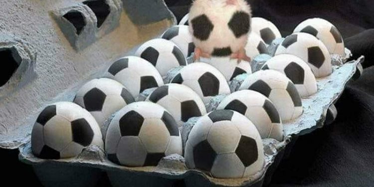 29541311 1638897229559160 4216019679749344734 n