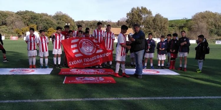 29683942 1649579595157590 5011336423287029760 n