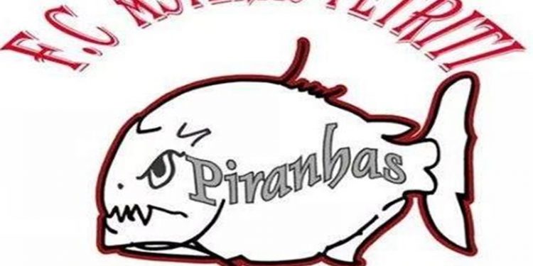 12308382 440828912768793 1246109699282736867 n