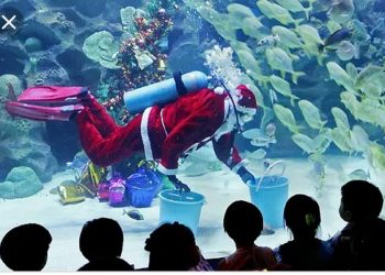 48082753 2082484715106490 3768933595805122560 n