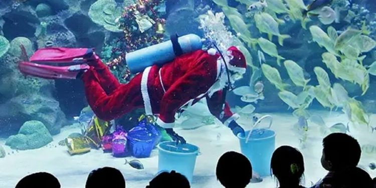 48082753 2082484715106490 3768933595805122560 n