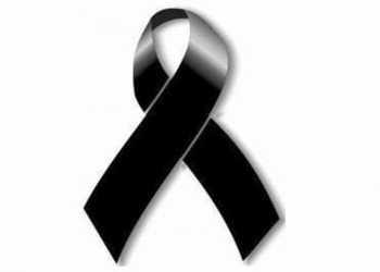 50116464 825997427734854 6022513076434108416 n