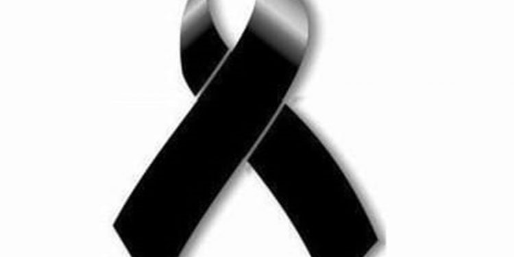 50116464 825997427734854 6022513076434108416 n