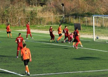 55780623 2149876611794550 3212309755548663808 o