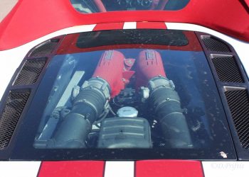 64977409 1264743137025550 1615127103110381568 o