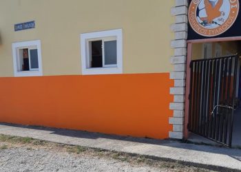 67552900 2383914585057417 1474393995621695488 n