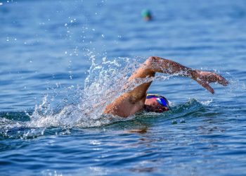 75095584 766829420421740 335687076122984448 n