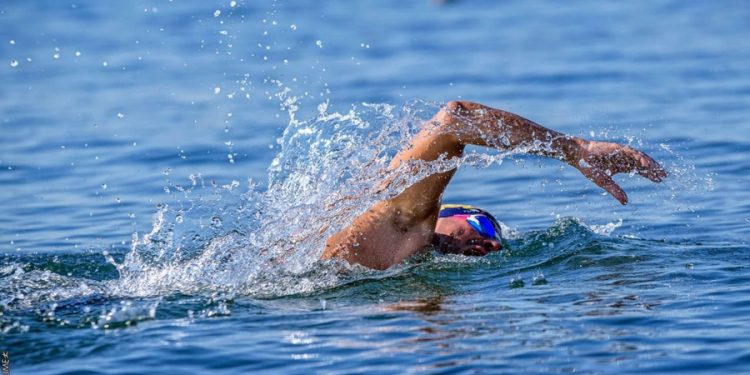 75095584 766829420421740 335687076122984448 n