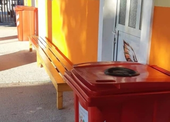 74789166 2571183352997205 1242166630050430976 o