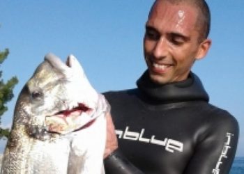 psaras kerkyra tsipoura 0