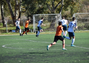 88147293 2818883444893860 3548439140288692224 o