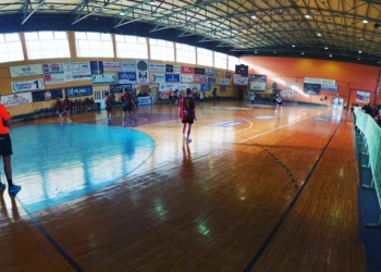 ginaikes feaxz handff