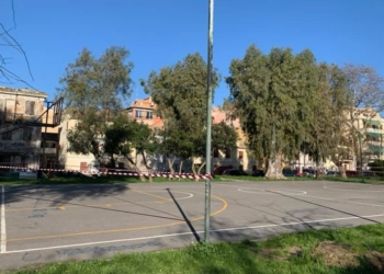 89706519 10218165258536220 1634242233018351616 n