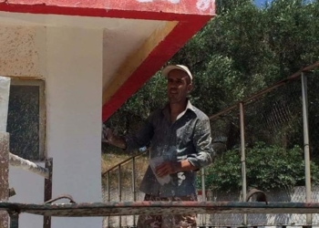 92008939 2949987155077616 2581785075909656576 n