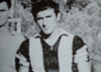 93117978 3151846254826072 7791402839124738048 n