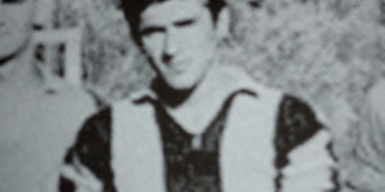 93117978 3151846254826072 7791402839124738048 n