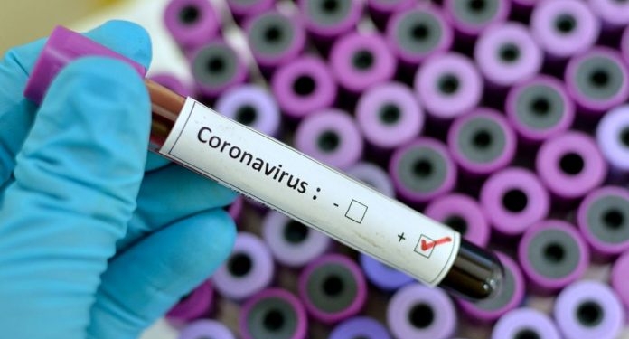 covid 19 coronavirus